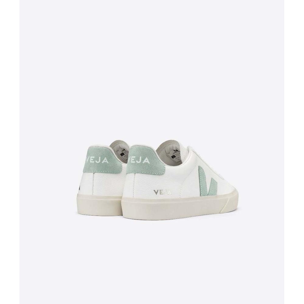 Veja CAMPO CHROMEFREE Low Tops Sneakers Heren White/Green | BE 196NWY